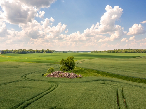 Arsa Yatırımı 2026: İmar, Tapu ve Değer Artışı Kriterleri