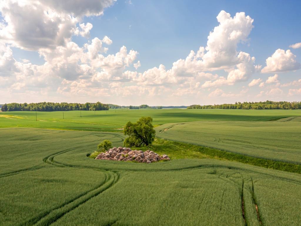 Arsa Yatırımı 2026: İmar, Tapu ve Değer Artışı Kriterleri