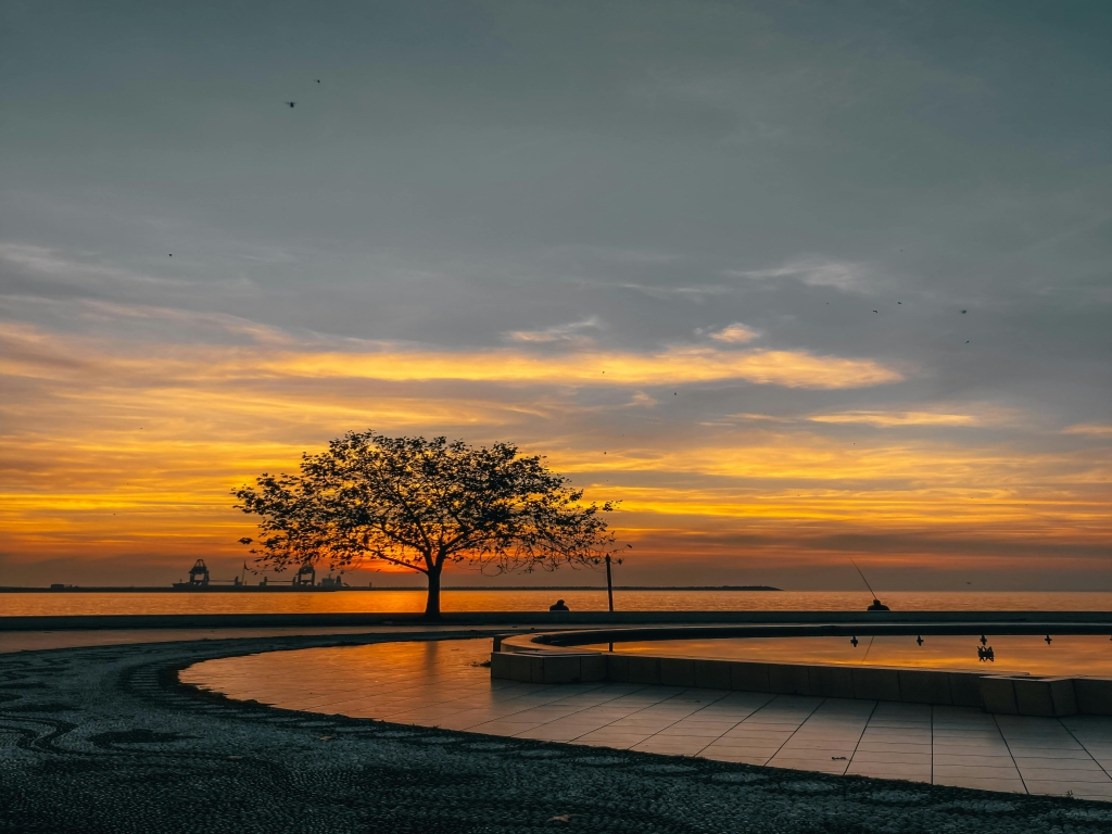 Mülkünüzü Daha Hızlı Satmanın/Kiralamanın 7 Yolu: Aydın Emlak’tan Kdz. Ereğli’ye Özel İpuçları